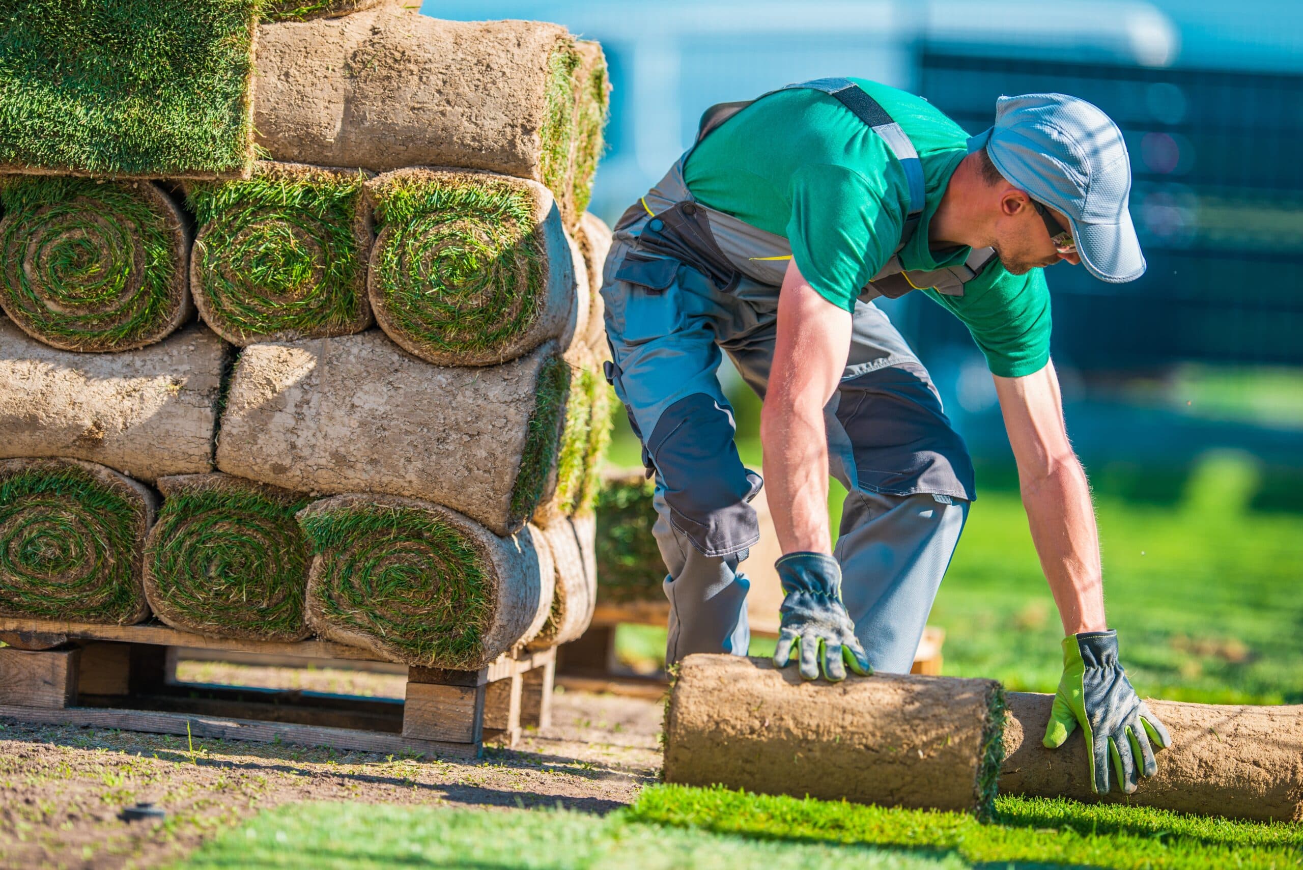 Lawn Grass Installation Tips for Faster Rooting and Better Finish